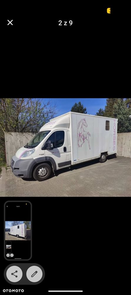 Fiat Ducato Koniowóz Maxi - 1