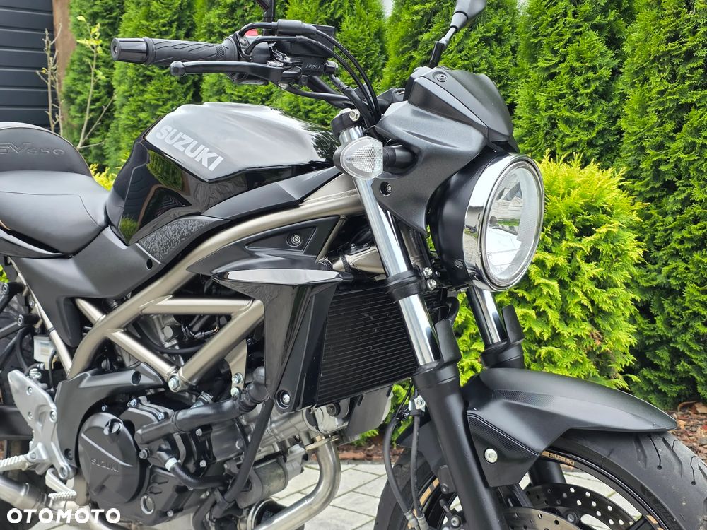 Suzuki SV - 6