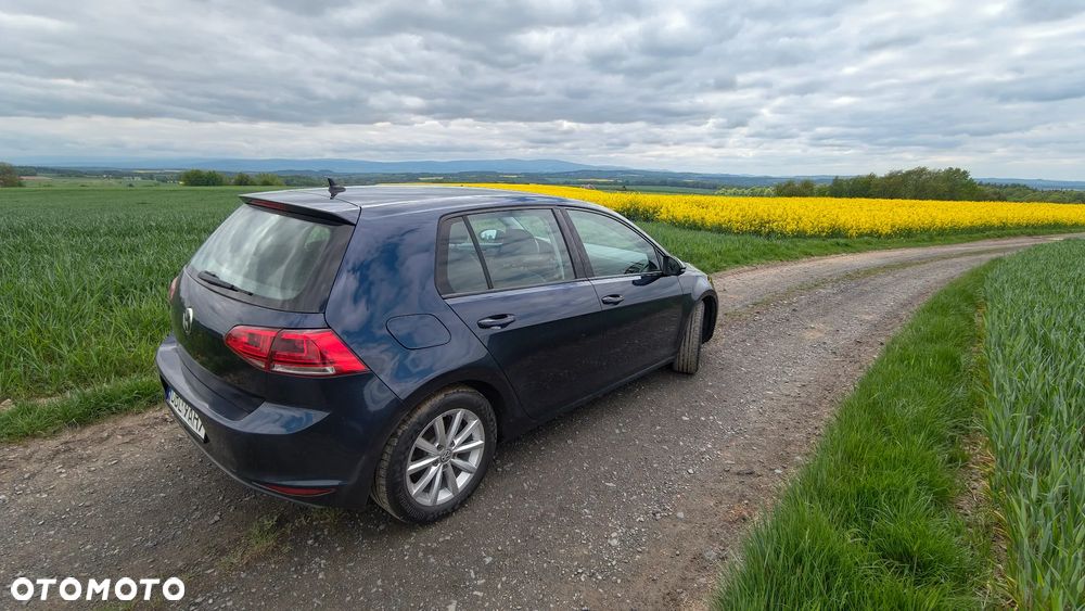 Volkswagen Golf 1.6 TDI Highline DSG - 7