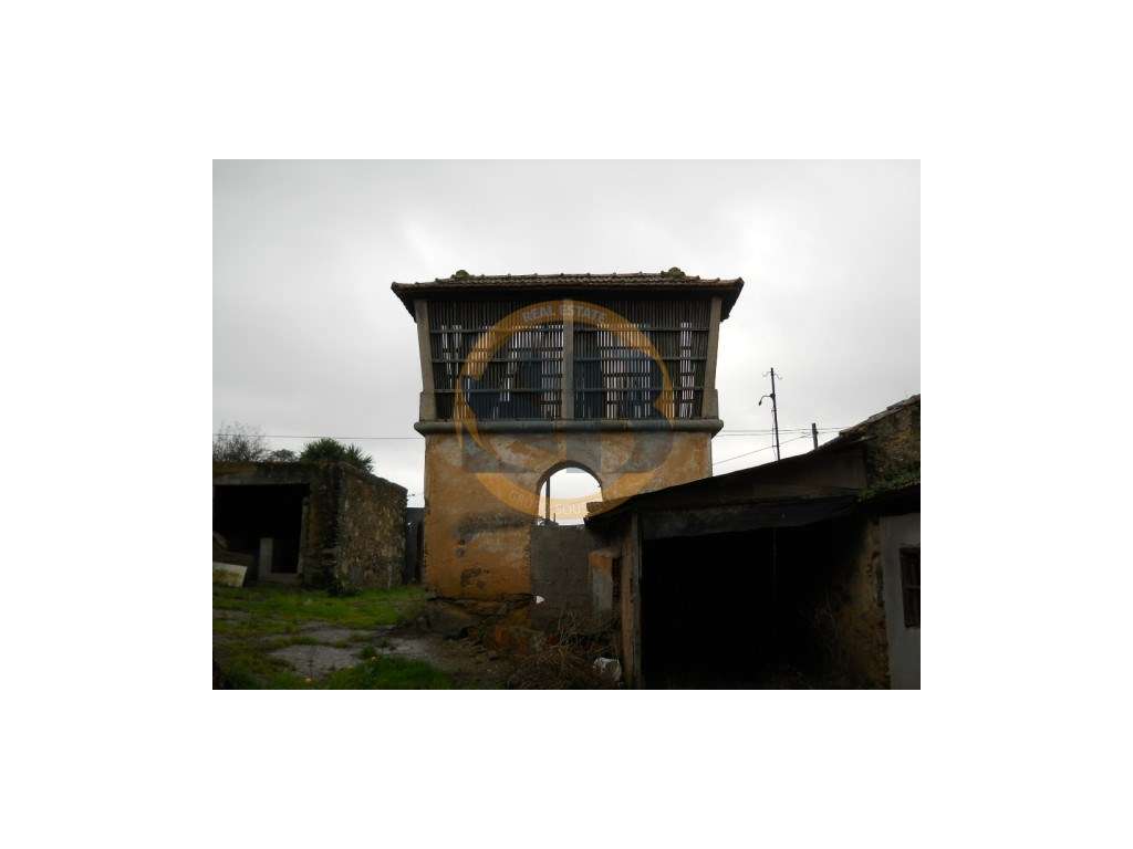 Quintinha restaurar São Miguel de Souto - Grande imagem: 2/9