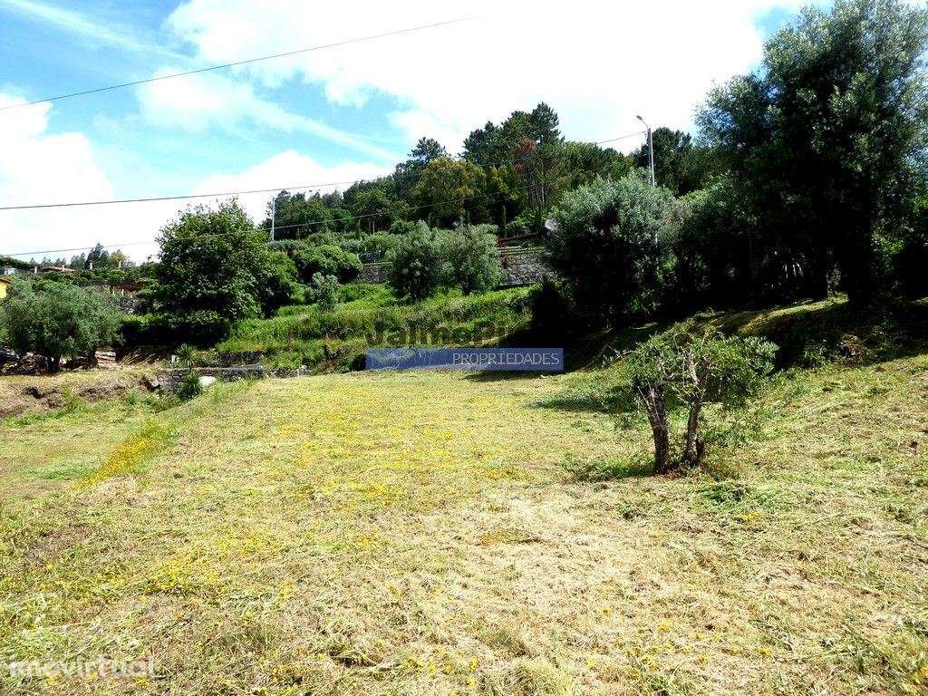 Terreno rústico de 4.900m2 e ruína, Rubiães, em Paredes de Coura. P... - Grande imagem: 3/4