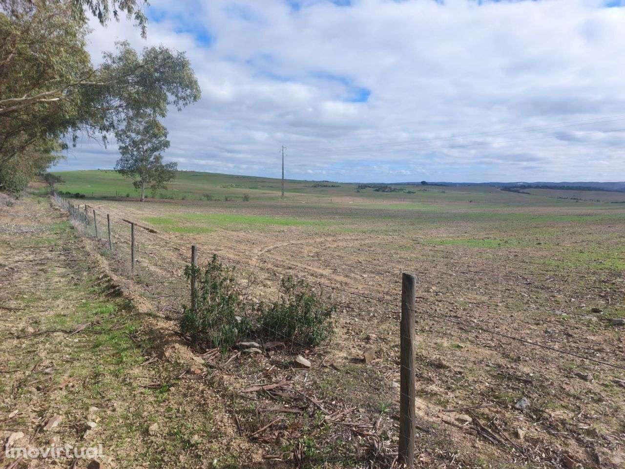 Vende-se Herdade com 209 ha no concelho de Mértola - Grande imagem: 5/10