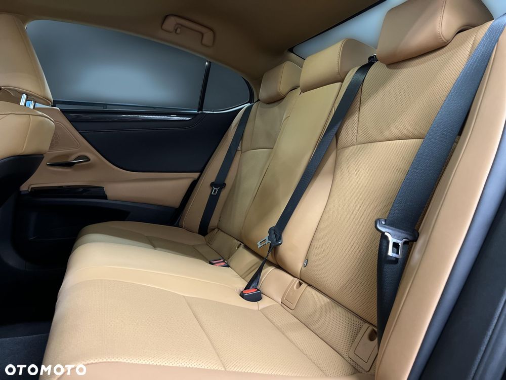 Lexus ES 300h Business Edition - 14