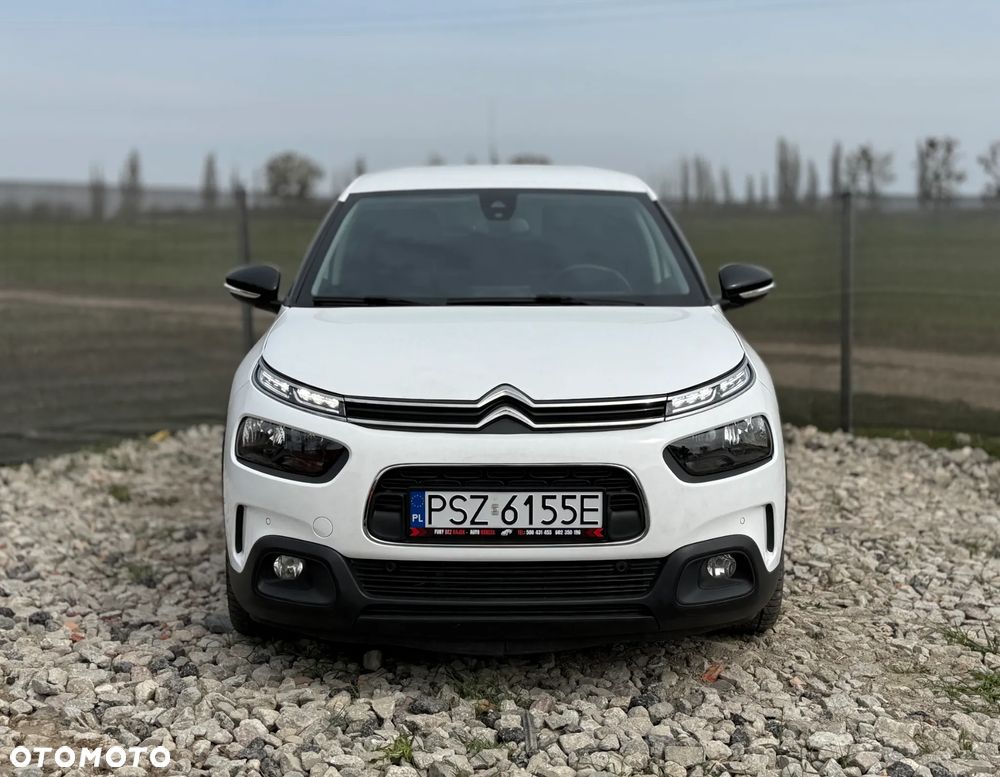 Citroën C4 Cactus BlueHDi 120 Stop&Start EAT6 Shine - 3