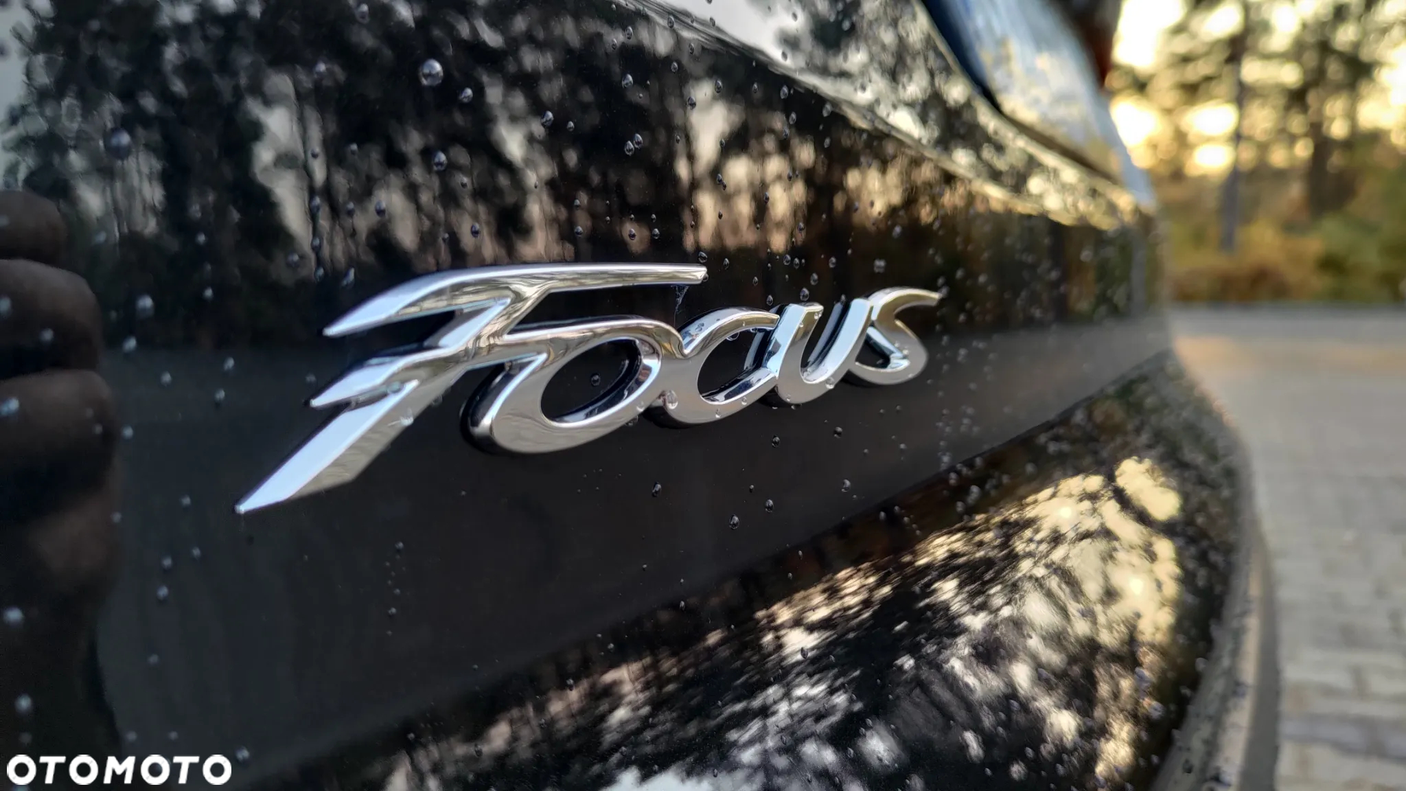 Ford Focus - 27