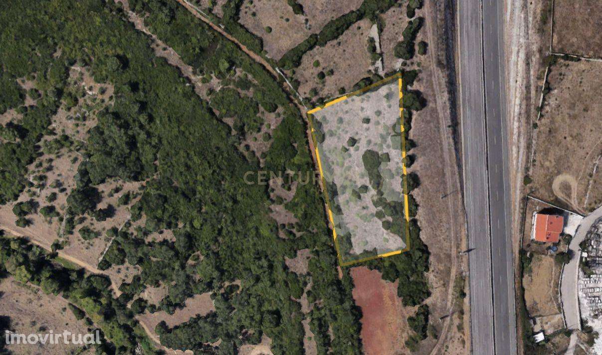 Terreno Rústico Sintra  (Armés-Terrugem) - Grande imagem: 2/5
