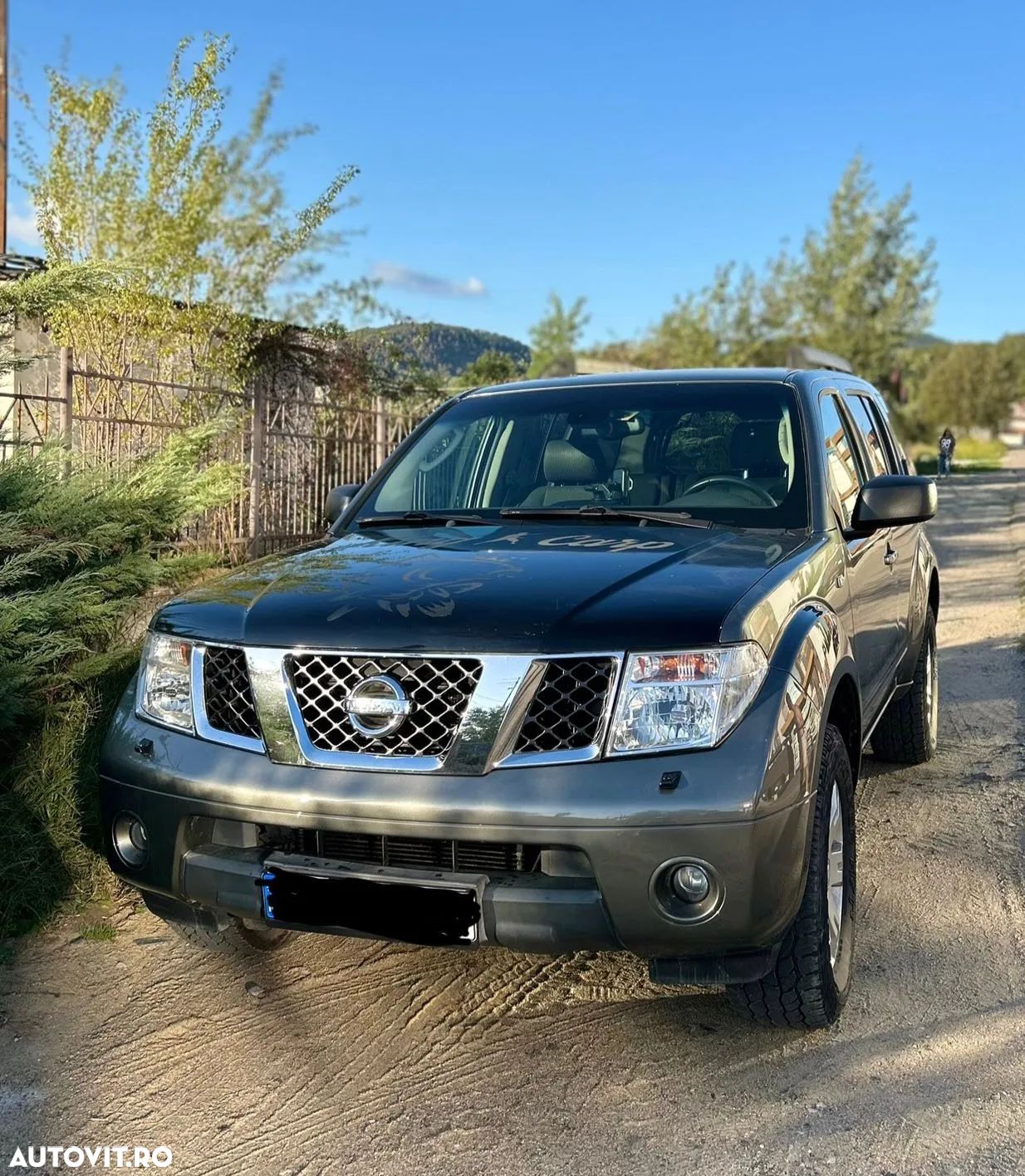 Nissan Pathfinder - 1