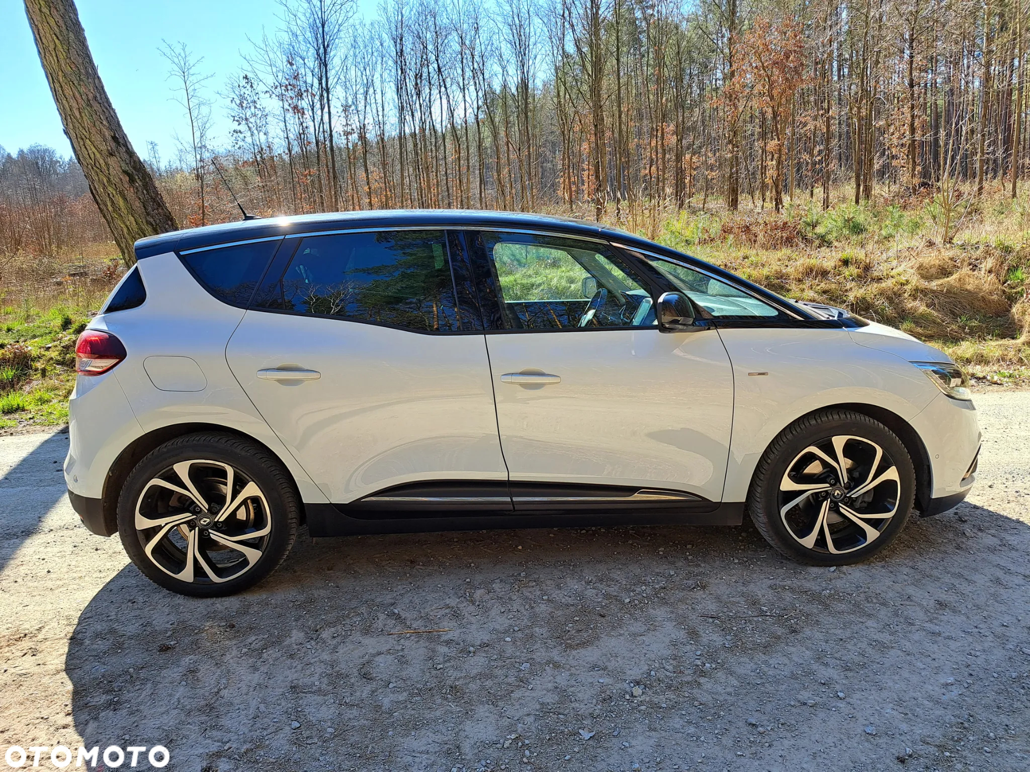 Renault Scenic 1.6 dCi Energy Bose - 14