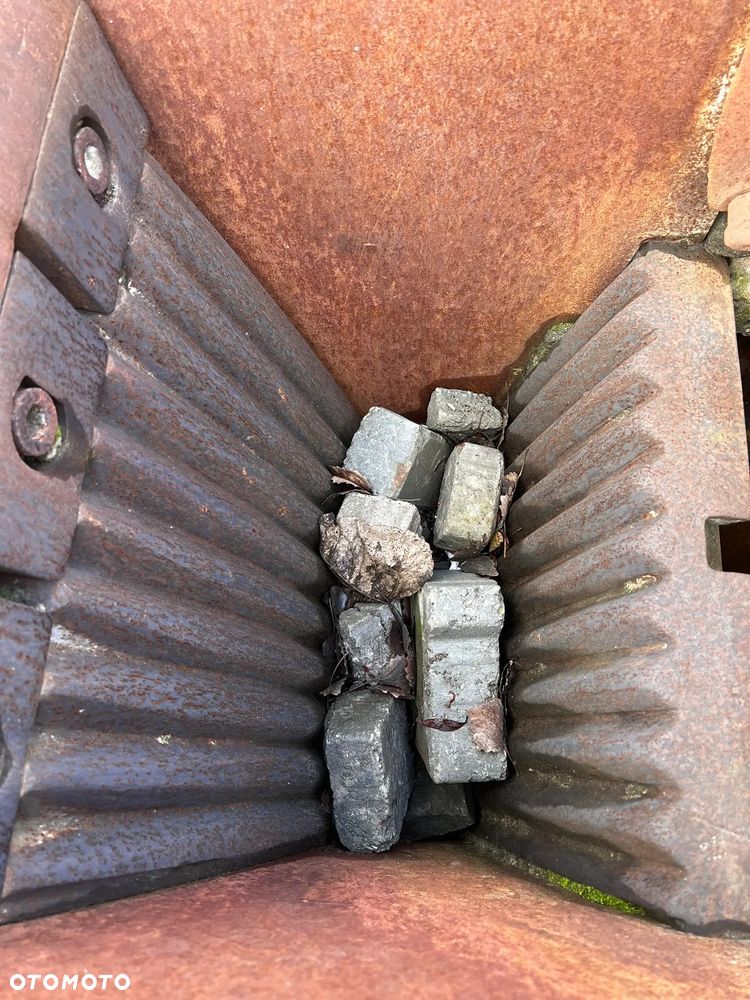 Inny Guidetti Caesar 2 - 6