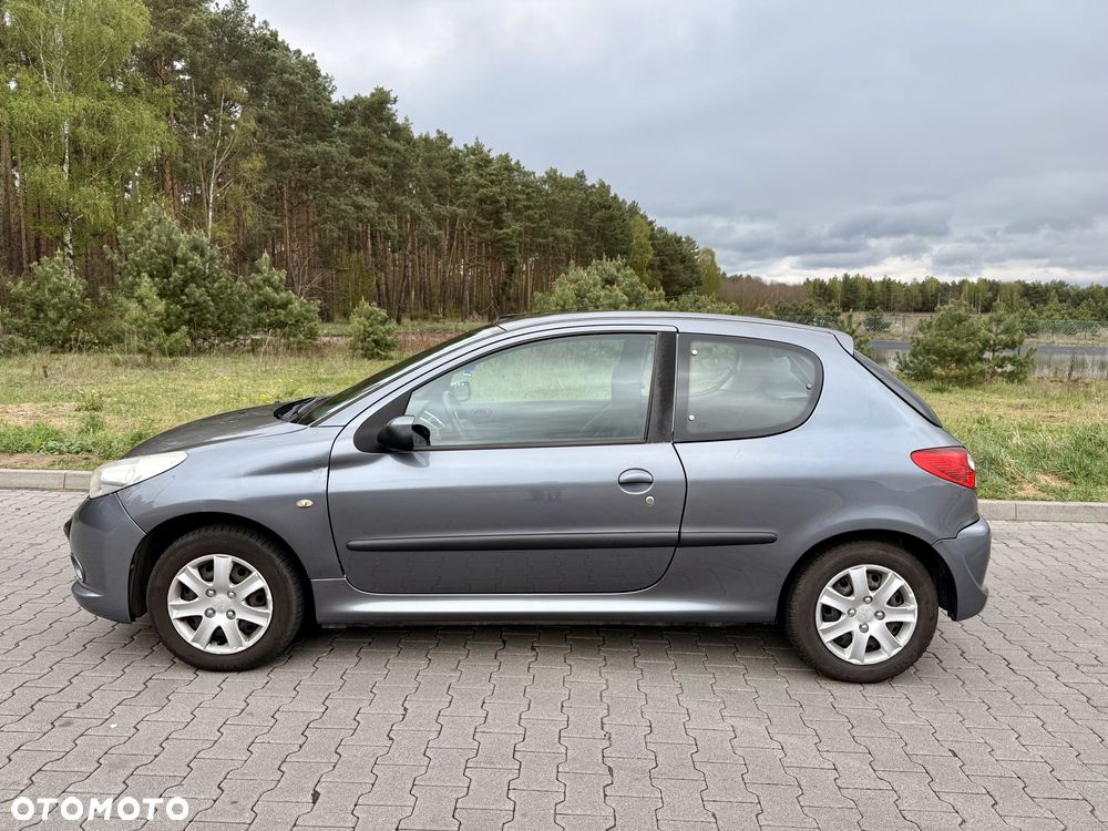 Peugeot 206 plus 60 - 3