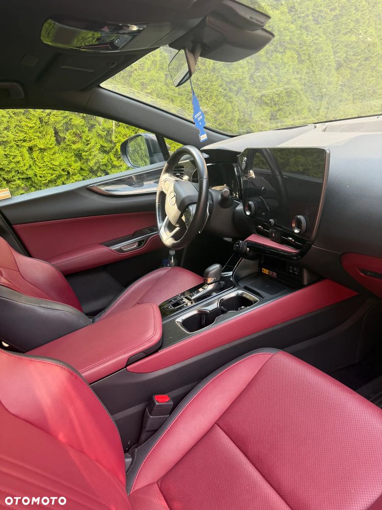 Lexus NX - 6