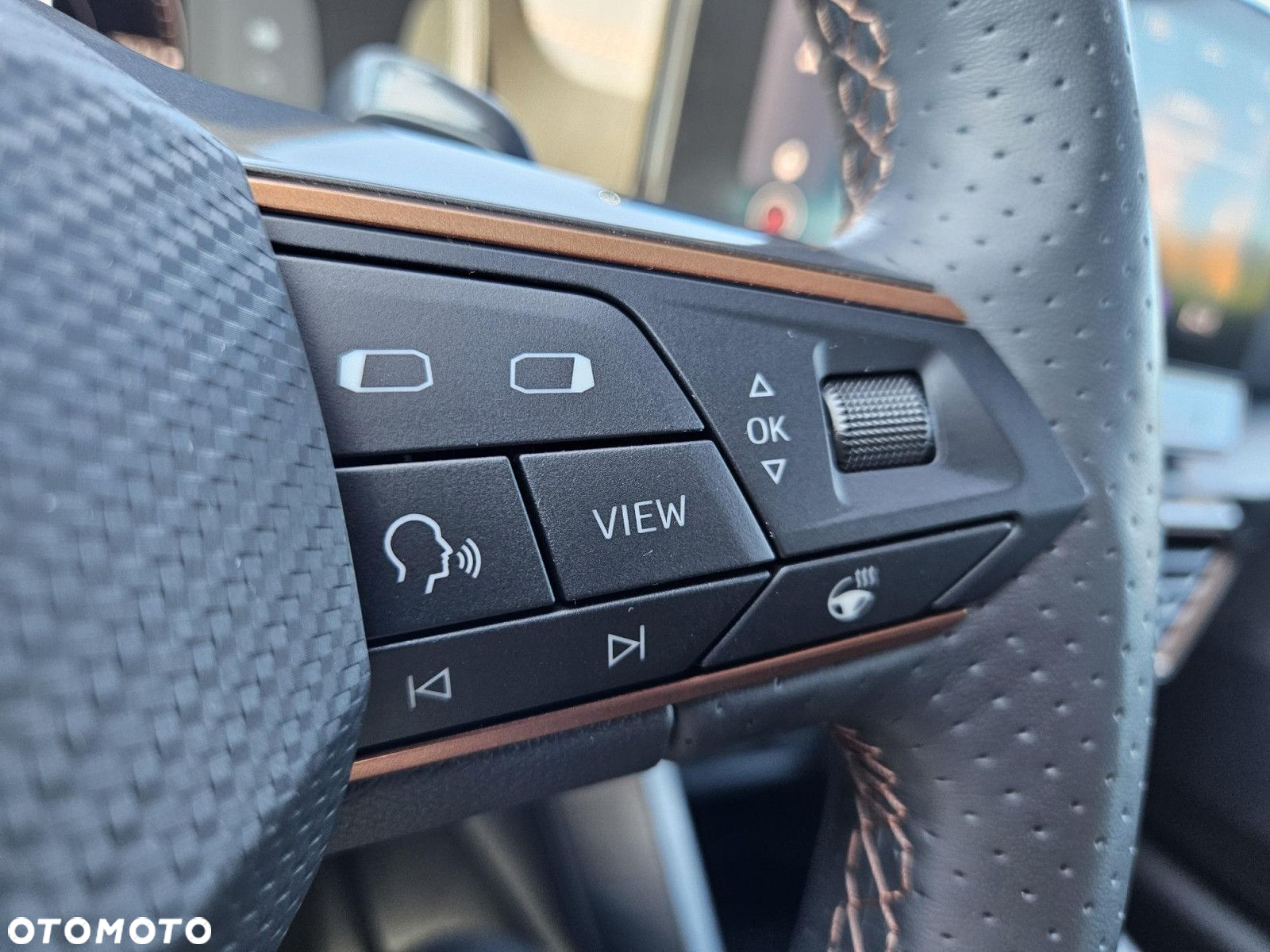 Cupra Formentor 1.5 TSI DSG - 17