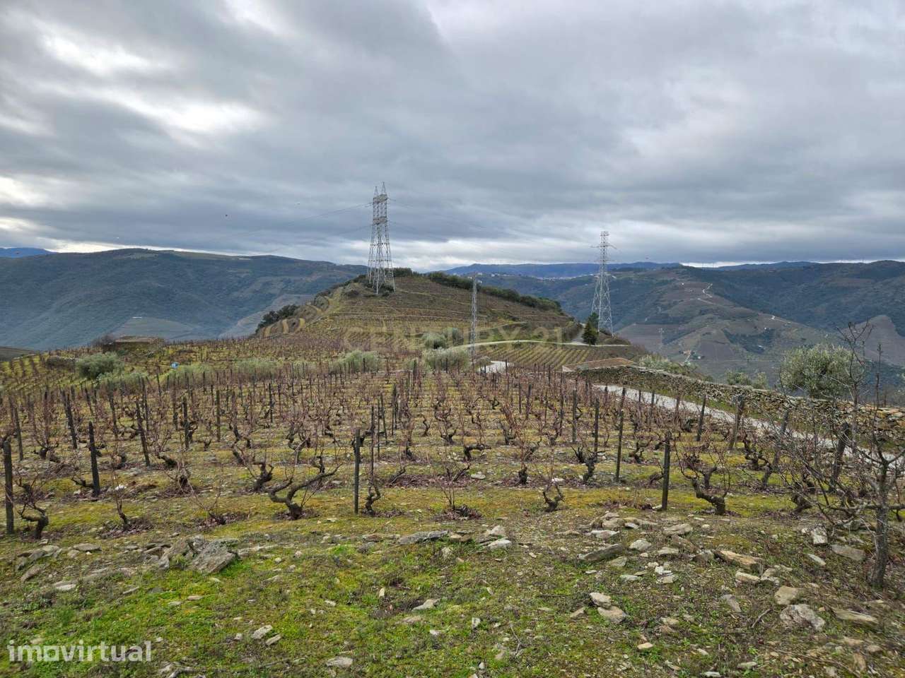 Tesouro Rústico no Coração do Douro – Um Convite à Natureza e à Tradiç - Grande imagem: 3/13