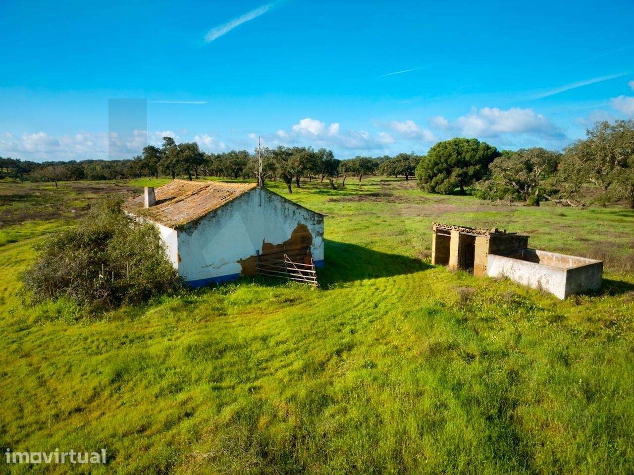 Propriedade Rural em São Domingos - Santiago do Cacém  São Domingos co - Grande imagem: 5/21
