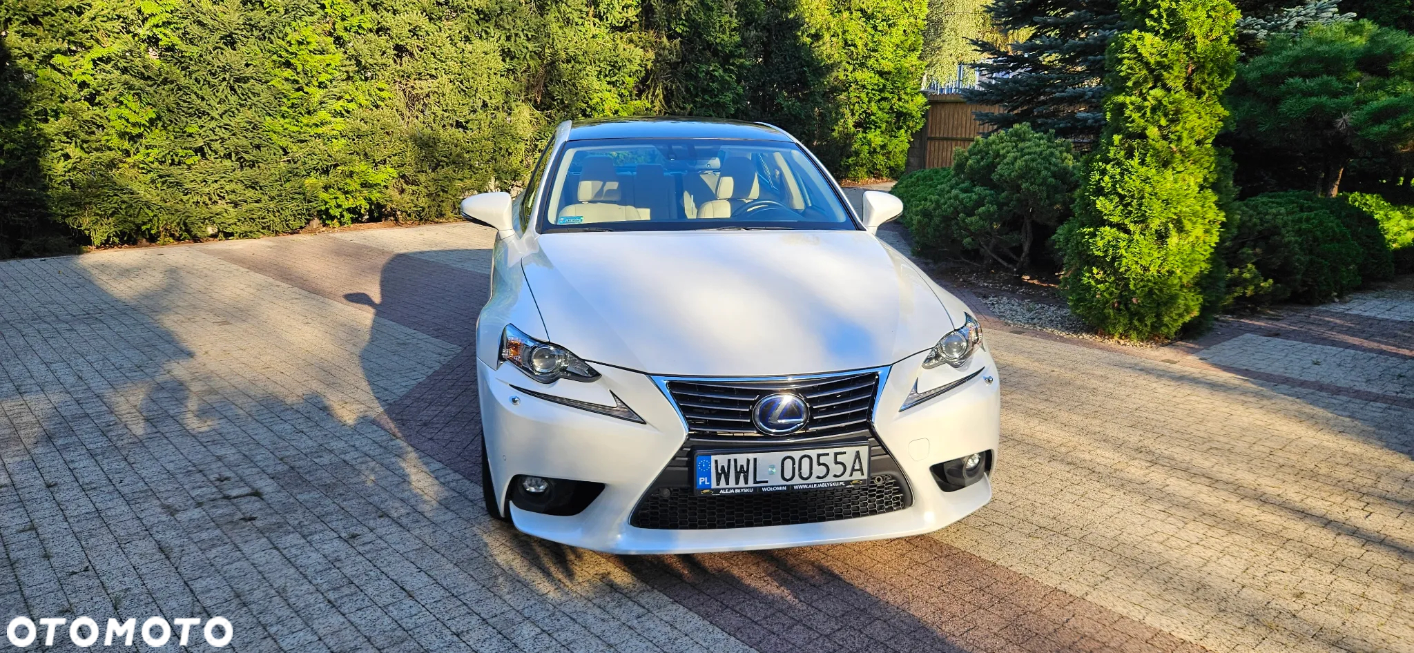 Lexus IS ver-300h-elegance - 7