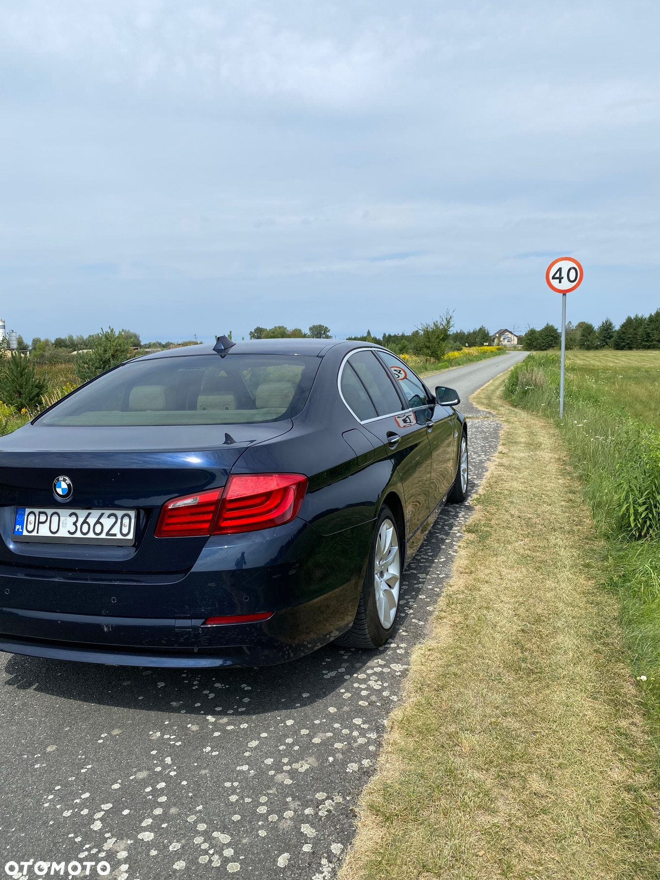 BMW Seria 5 530d xDrive - 7