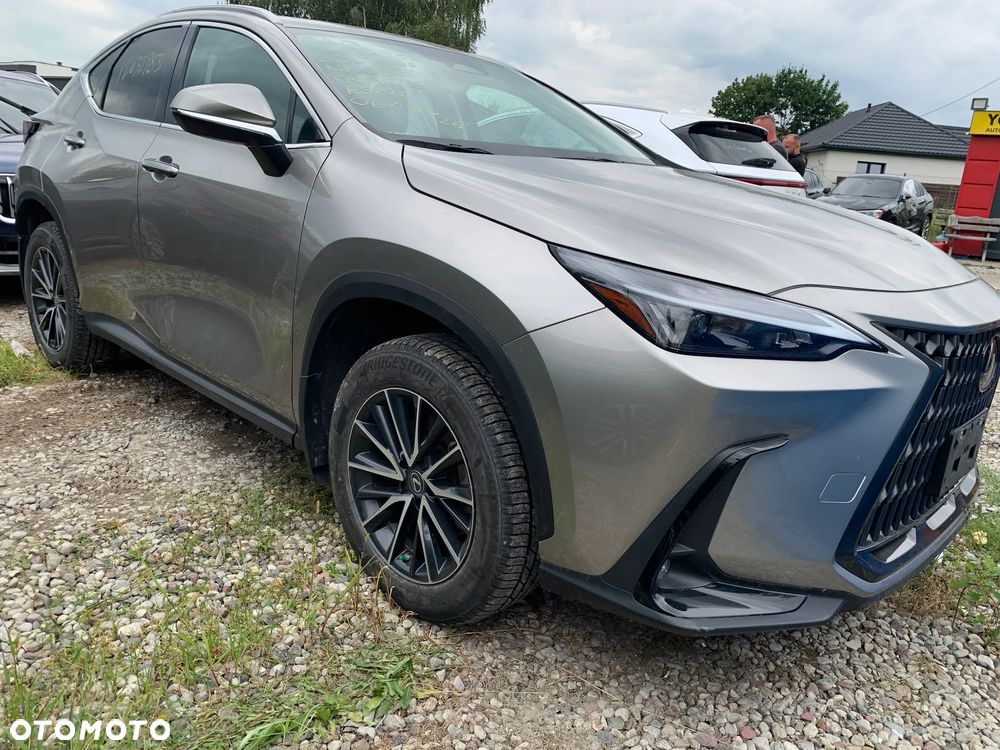 Lexus NX - 10