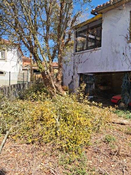 Casa para recuperar - Grande imagem: 5/5