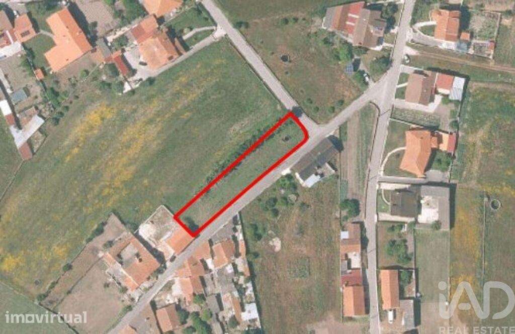 Terreno em Monte Real e Carvide - Grande imagem: 2/19