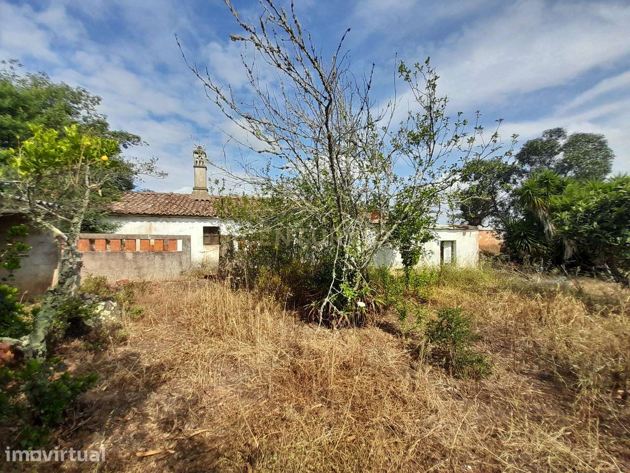 Herdade em Santana da Serra de 14 Hectares com casa de 100m2 para recu - Grande imagem: 3/44