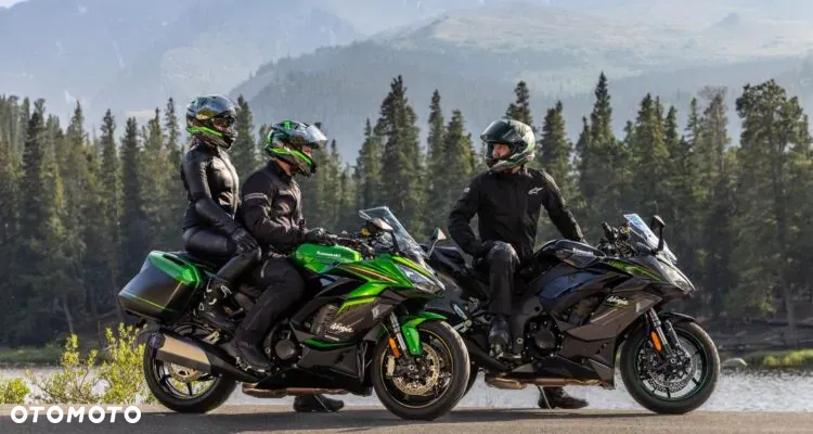 Kawasaki Ninja 1000 SX - 5