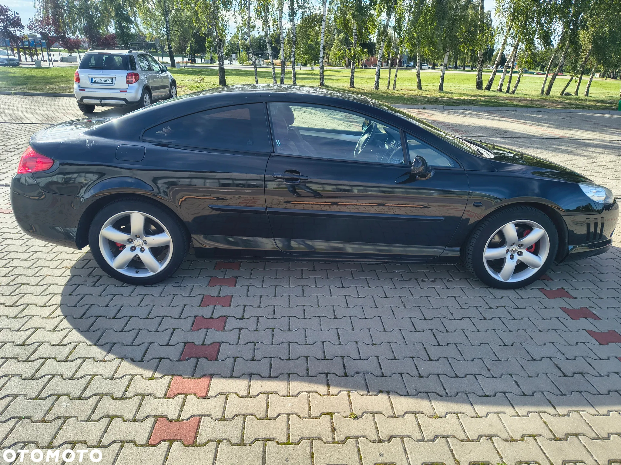 Peugeot 407 - 4