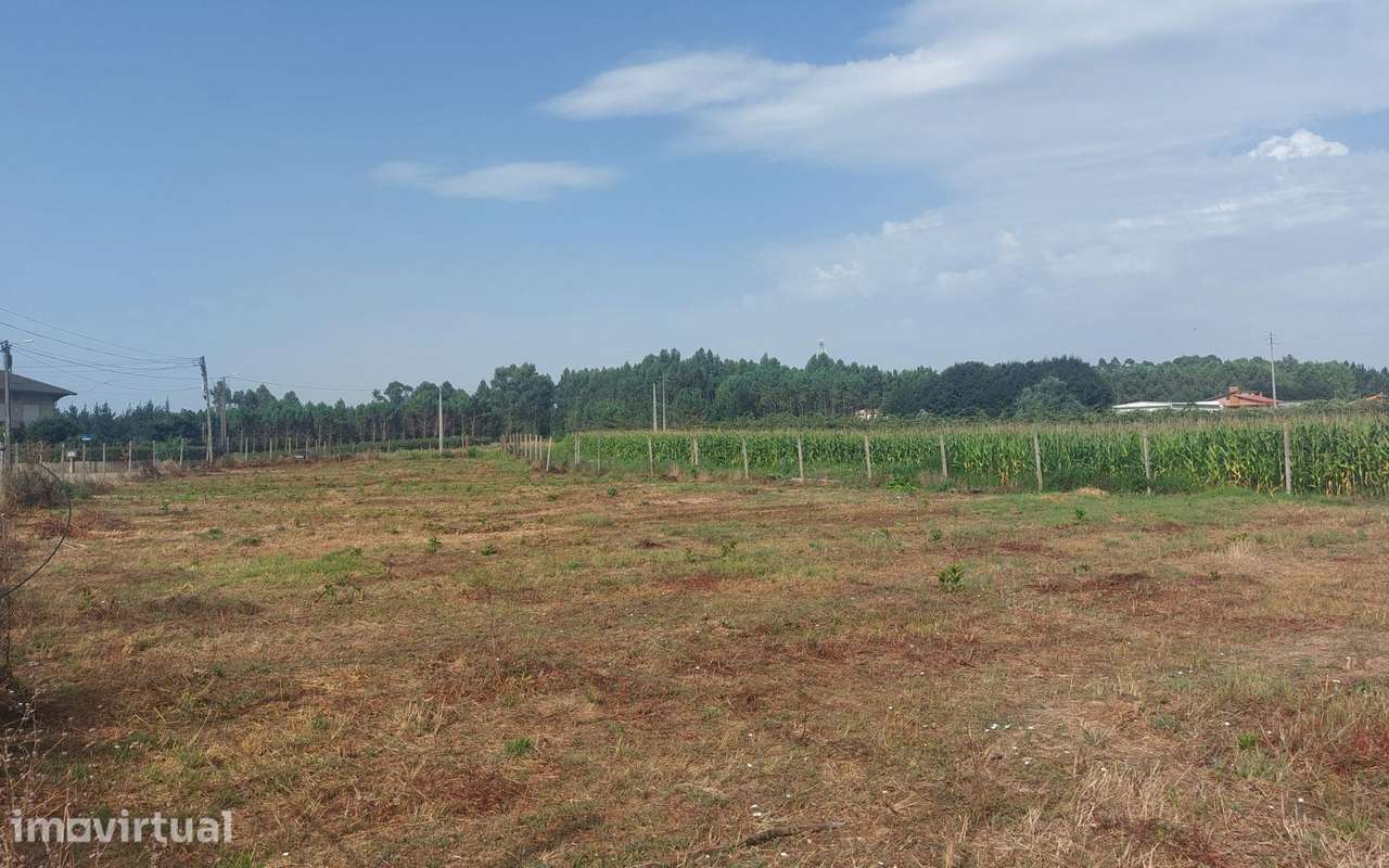 Terreno Rústico com 4.195 m2 em Oiã - Grande imagem: 2/11