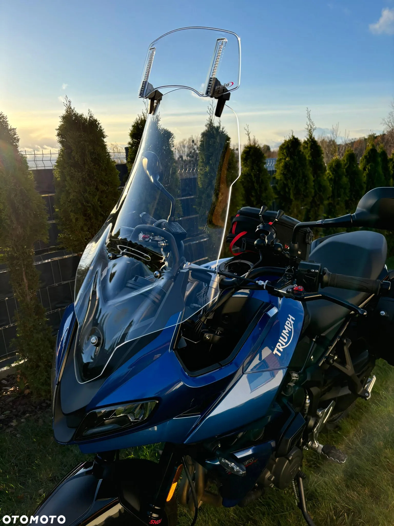 Triumph Tiger - 8