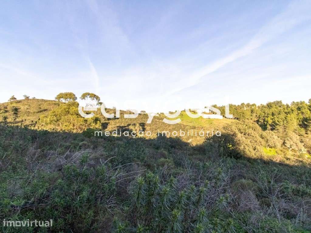 Lote de Terreno Rustico para cultura de sequeiro no Lavajo - Grande imagem: 4/11