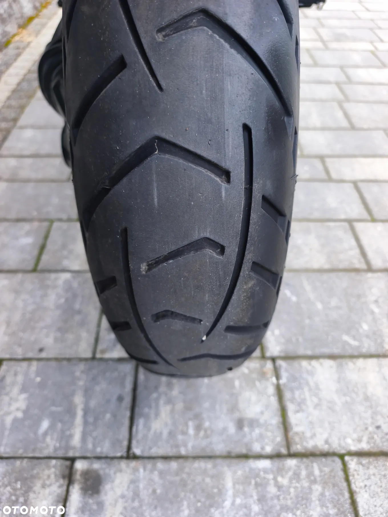 Triumph Tiger - 13