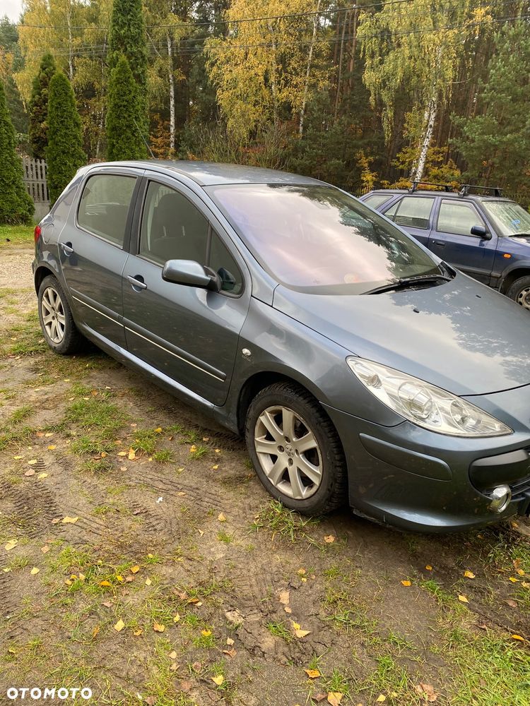 Peugeot 307 - 2