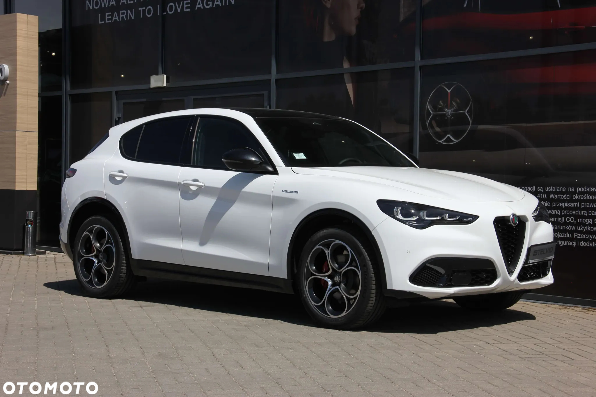 Alfa Romeo Stelvio 2.0 Turbo Veloce Q4 - 8