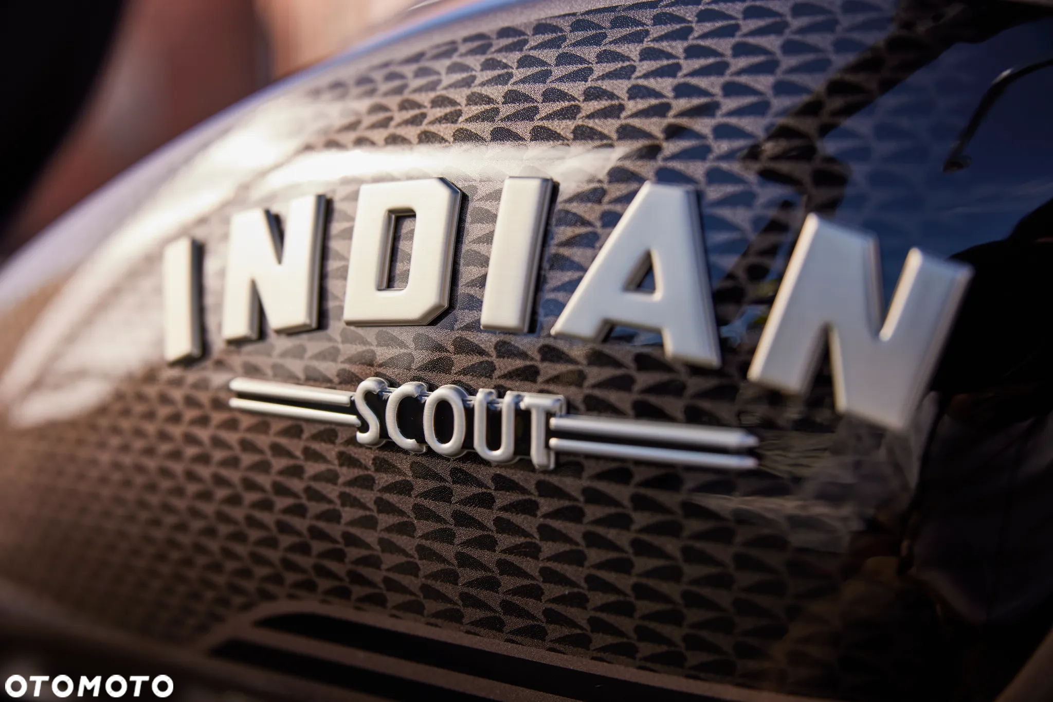Indian Scout - 4