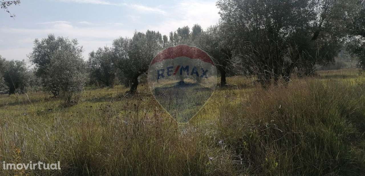 Terreno  para venda - Grande imagem: 2/10