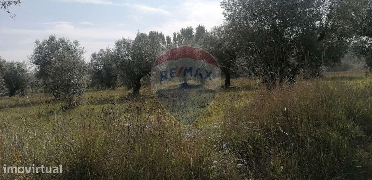 Terreno  para venda - Grande imagem: 2/10