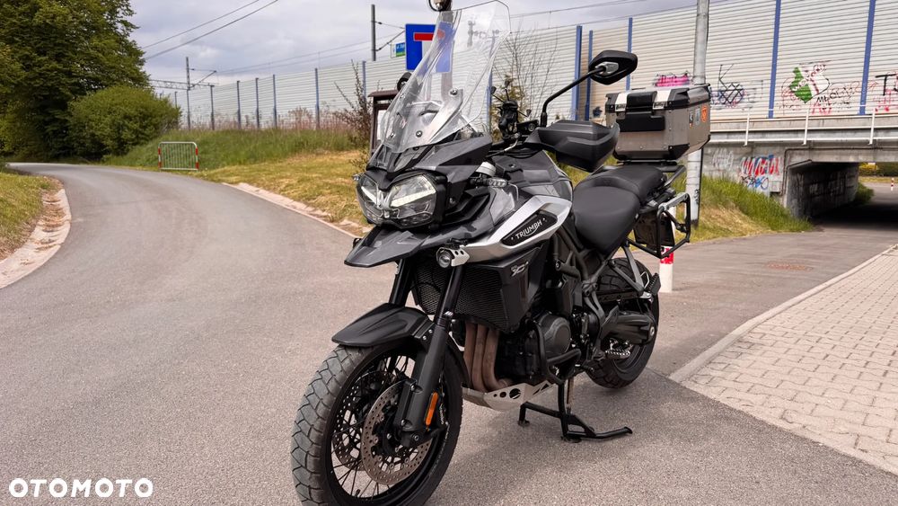 Triumph Tiger - 31