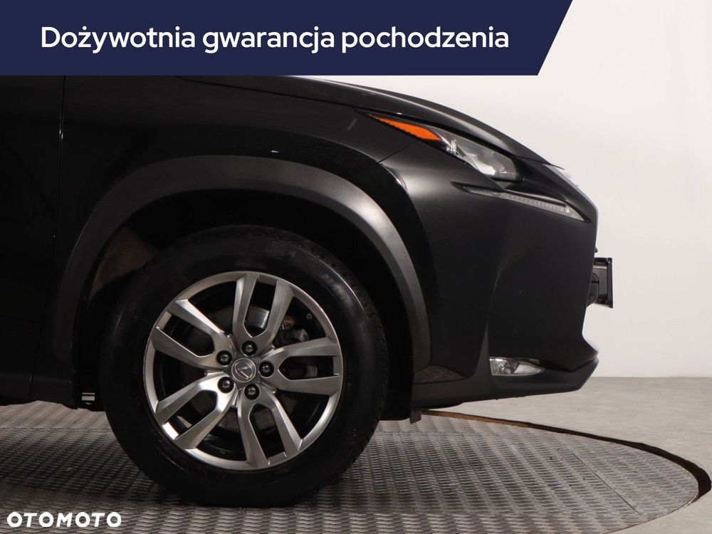 Lexus NX - 17