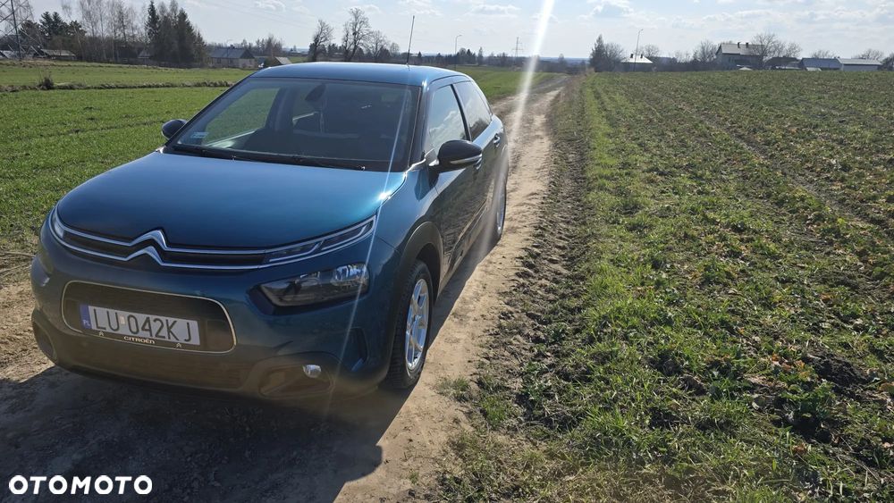 Citroën C4 Cactus 1.2 PureTech GPF Shine S&S - 8