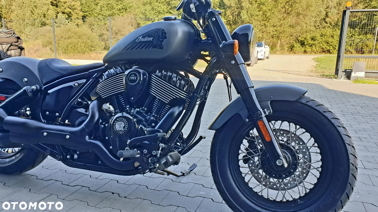 Indian Chief - 7