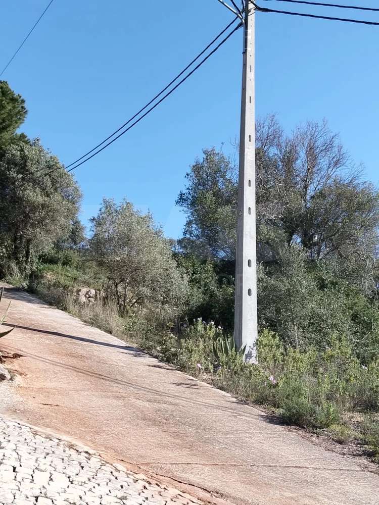 Lote de Terreno Rustico com vista mar - Grande imagem: 4/9