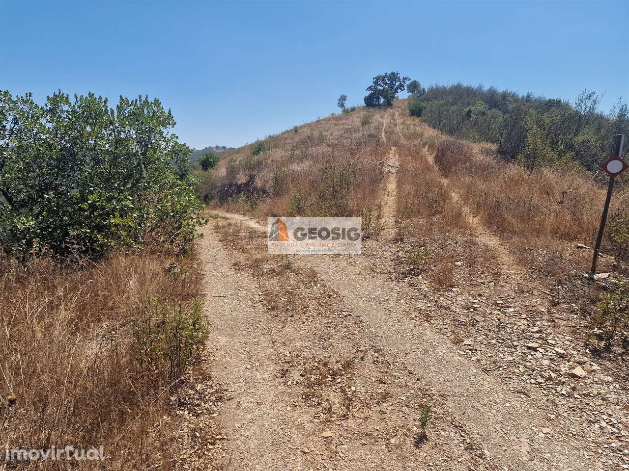 Terreno Rústico  Venda em Santana da Serra,Ourique - Grande imagem: 2/15