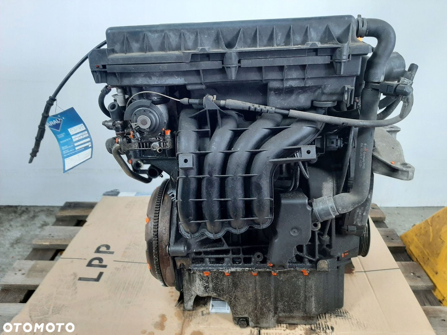 VW GOLF IV 1.4 16V HB 5D 00R SILNIK AKQ 55KW 75KM - 11