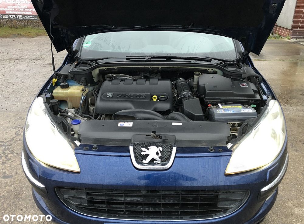 Peugeot 407 2.0 HDI Platinum - 30