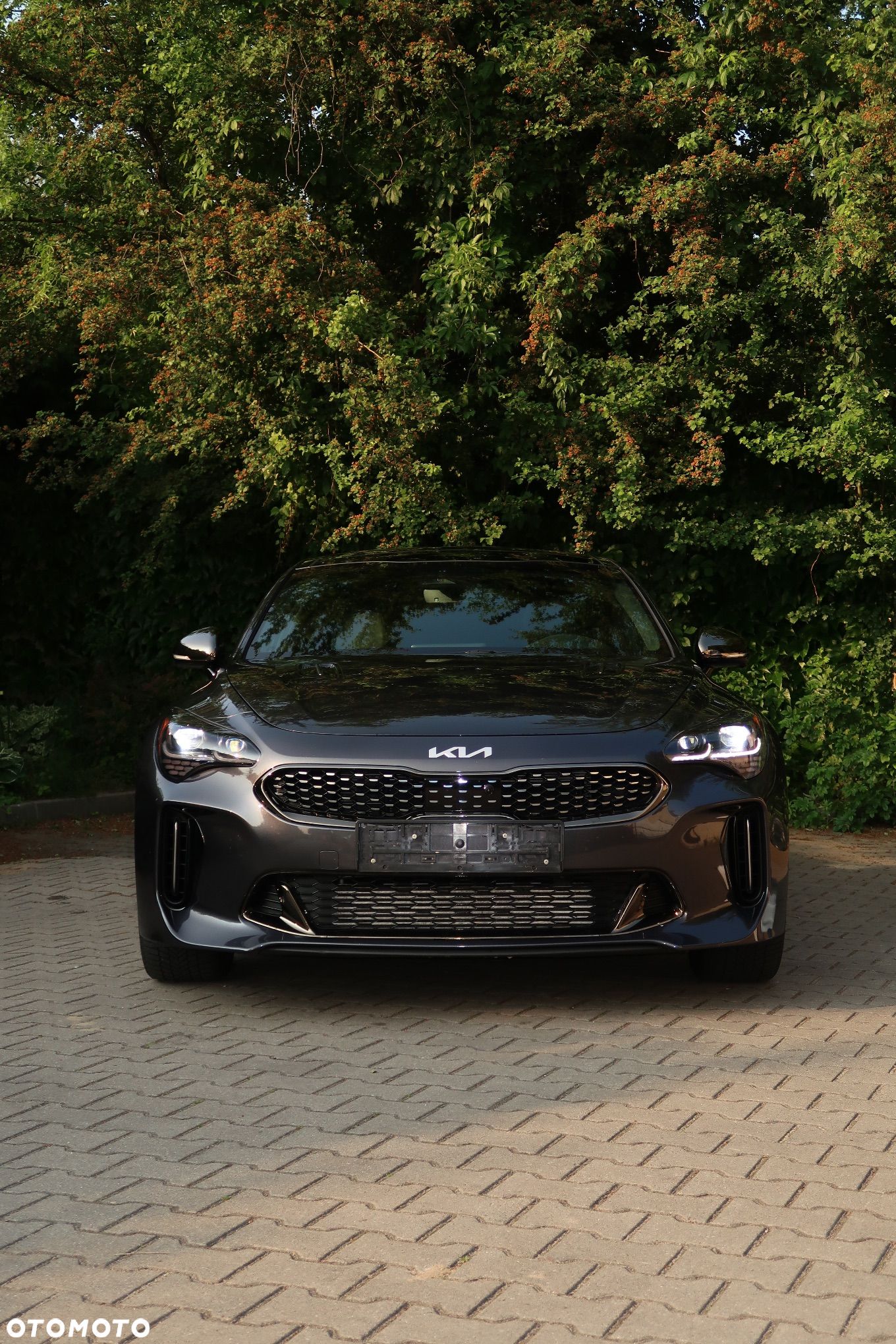 Kia Stinger - 1