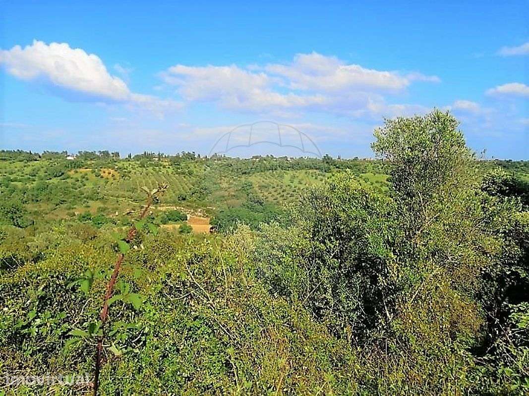 Terreno  para venda