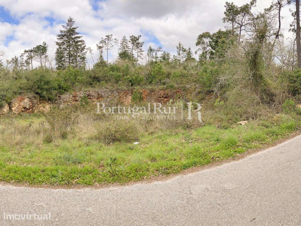 Terreno urbano para construção a 11km de Coimbra - Grande imagem: 4/6
