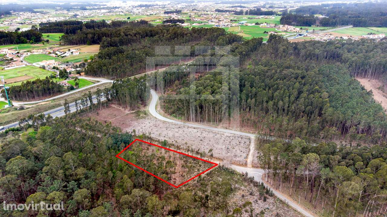 Terreno rústico com 4.100 m2 em Válega - Grande imagem: 5/11