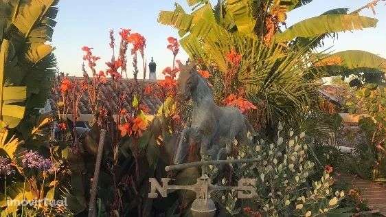 Bela quinta auto-suficiente - Grande imagem: 5/21