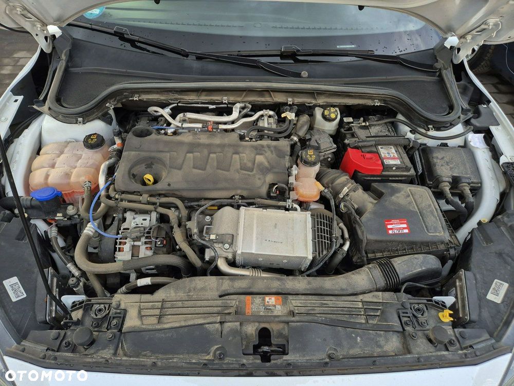 Ford Focus 2.0 EcoBlue ST-Line X - 7