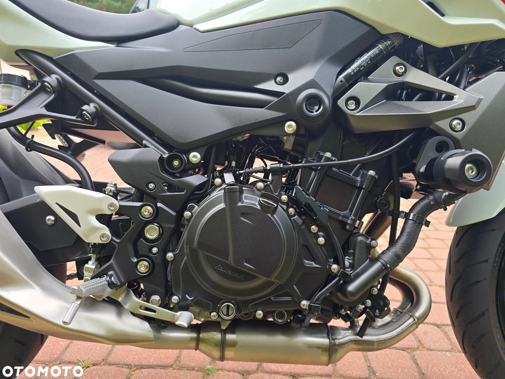 Kawasaki Z - 10